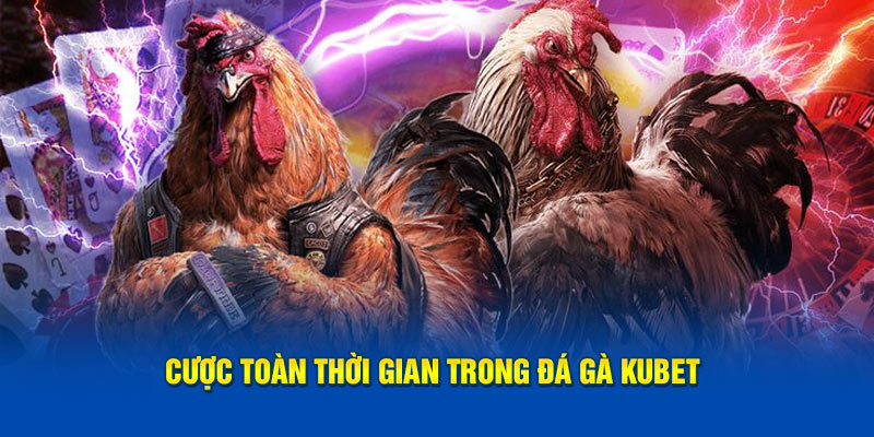 Cược toàn thời gian trong đá gà Kubet