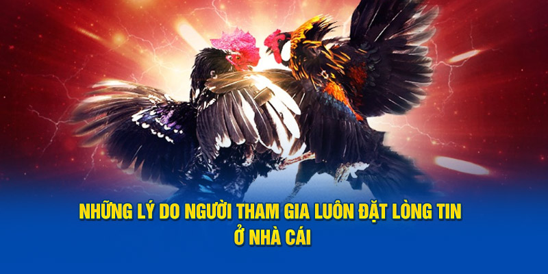 Những lý do người tham gia luôn đặt lòng tin ở nhà cái