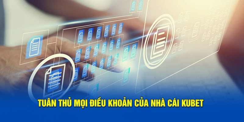 Tuân thủ mọi điều khoản của nhà cái Kubet