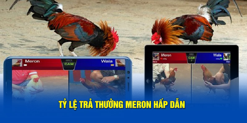 Tỷ lệ trả thưởng Meron hấp dẫn